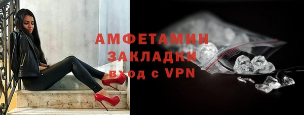 индика Ладушкин