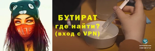 индика Ладушкин
