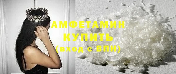 индика Ладушкин