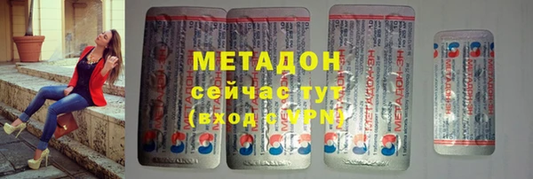 индика Ладушкин