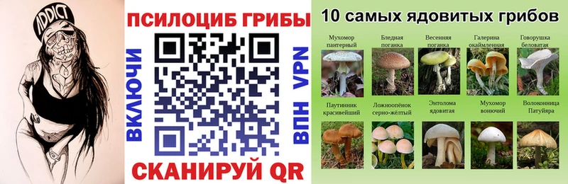 маркетплейс состав  Чаплыгин  Галлюциногенные грибы Psilocybe 